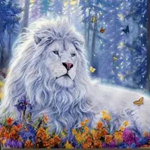 Meet your Posher, Kelley